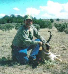 George`s pronghorn antelope buck