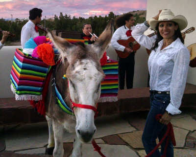 Tequila Donkey Party