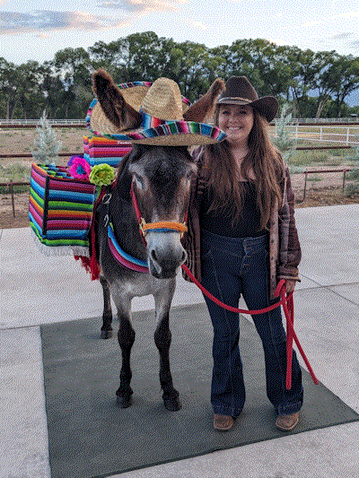 Tequila Donkey ... Whoopee!